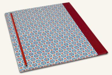 For school and work folder blue red